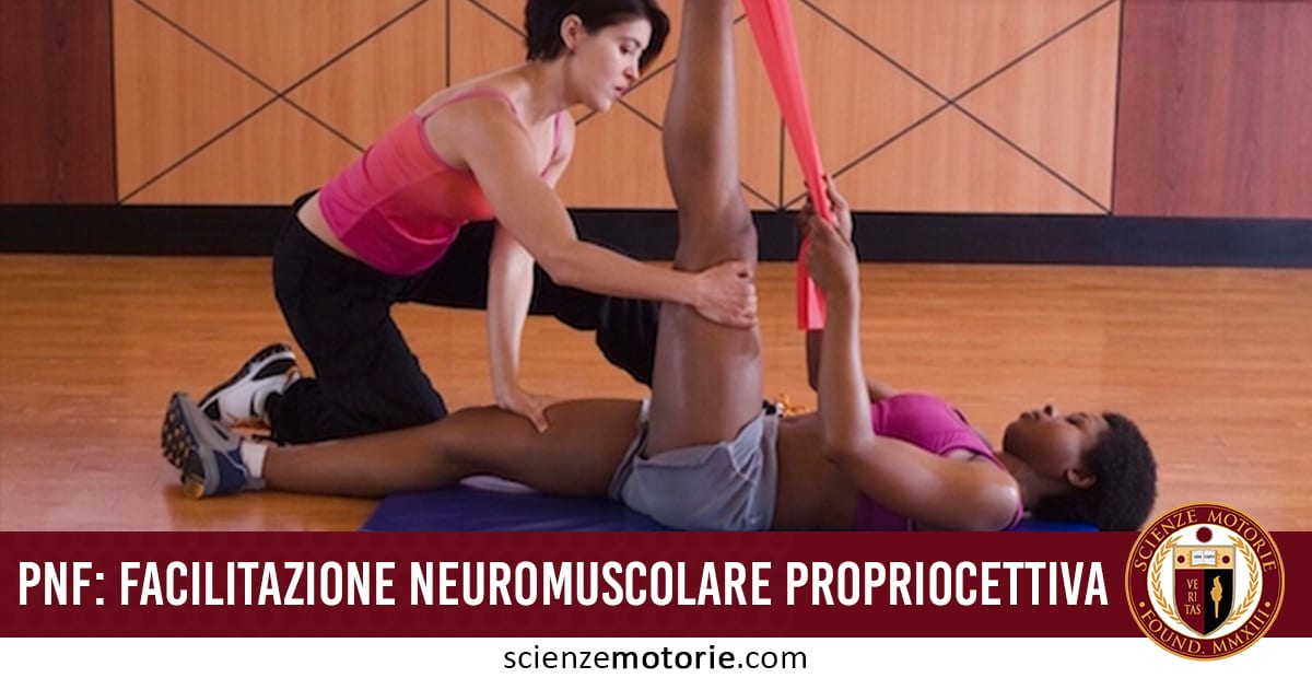 sono un po i principi del pnf-facilitazione neuromuscolare propriocettiva.