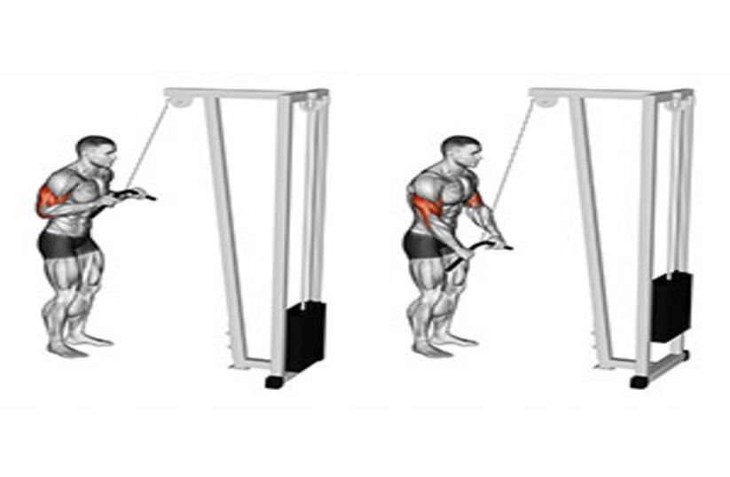 Allenamento, push allenare tricipiti