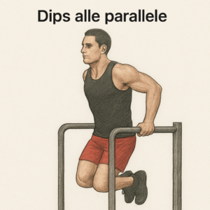dips alle parallele